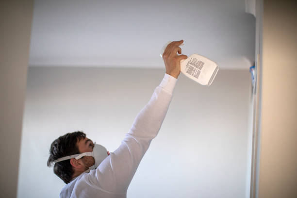 Best Preventive Mold Services in North Edwards, CA